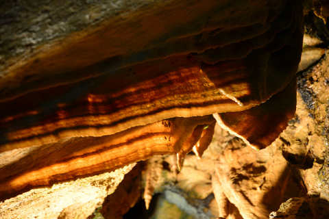 f0046614_16141071.jpg