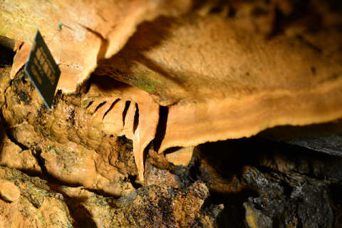 f0046614_16142021.jpg