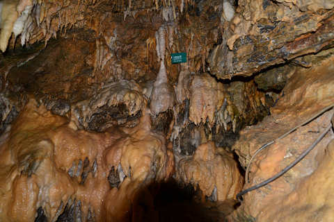 f0046614_1618731.jpg