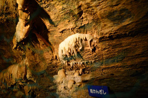 f0046614_16191536.jpg