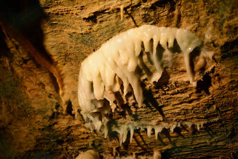 f0046614_16192236.jpg