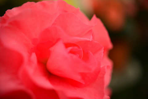 f0046614_16284872.jpg