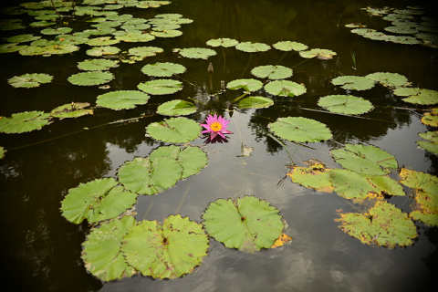 f0046614_1628575.jpg