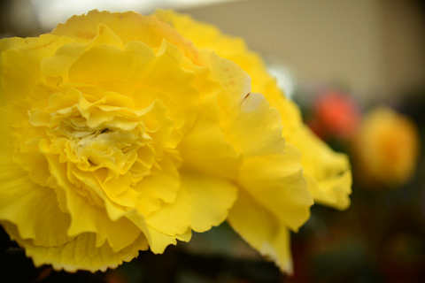 f0046614_16285973.jpg