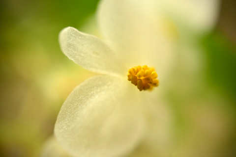 f0046614_16294061.jpg