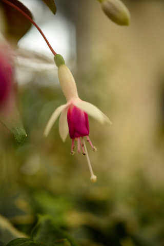 f0046614_16301515.jpg