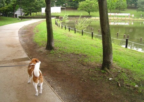 c0084117_2032569.jpg