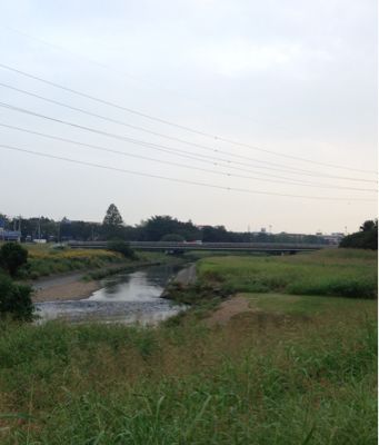 b0203925_133553.jpg
