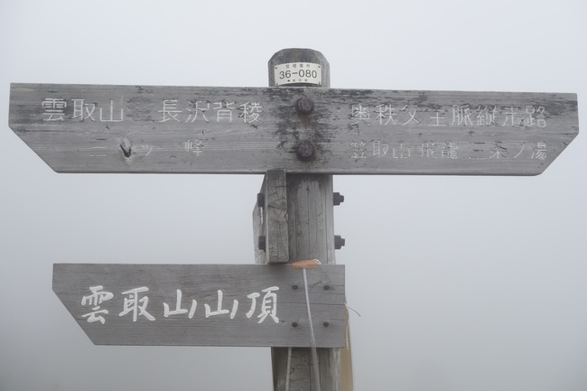 d0295126_222647.jpg