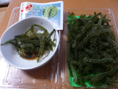 c0009528_2372015.jpg