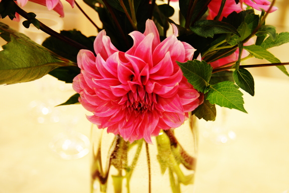 f0045630_9322913.jpg