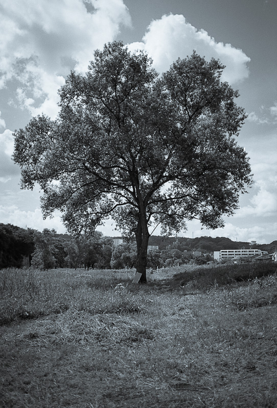 f0265234_20283964.jpg