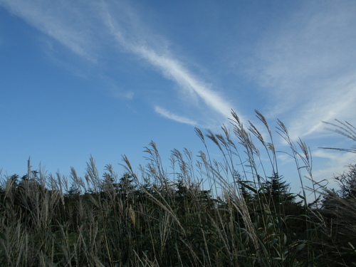 a0289641_21304096.jpg