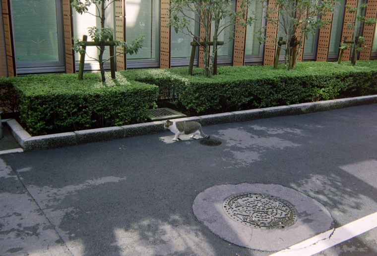 d0089742_14443743.jpg