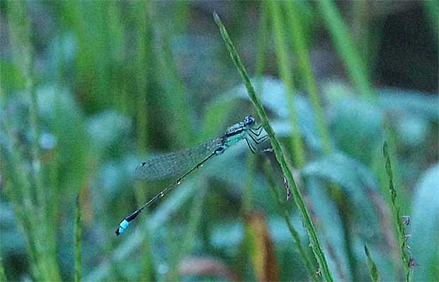 f0214649_6583361.jpg