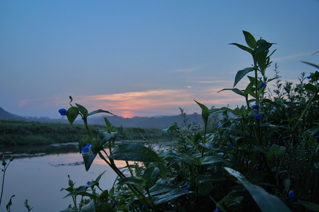 f0214649_6591852.jpg