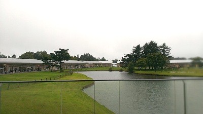a0251851_323262.jpg