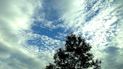 a0251851_325689.jpg