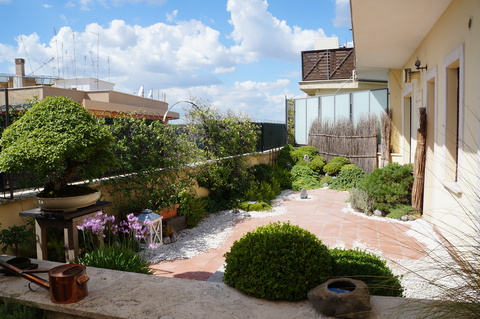 c0206352_63428.jpg