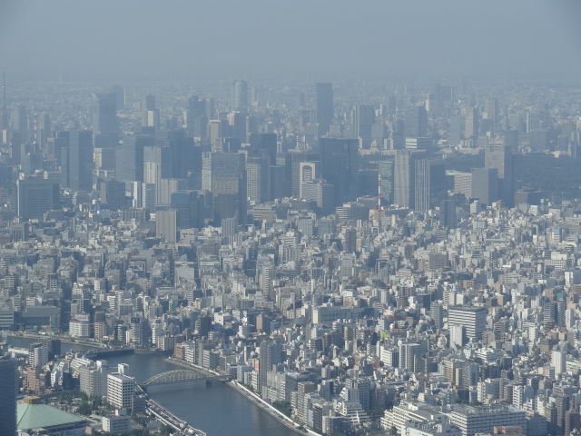 f0036857_194087.jpg