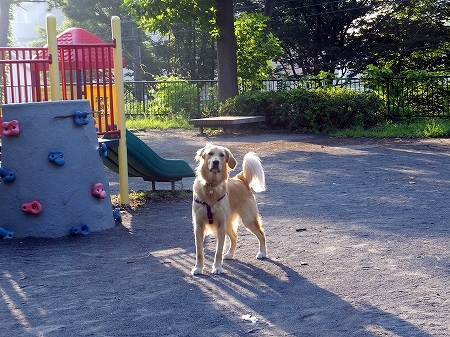 c0097558_11985.jpg
