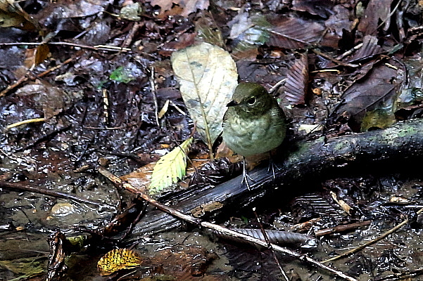 f0215964_9221630.jpg