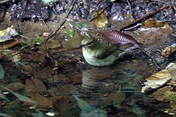 f0215964_922739.jpg