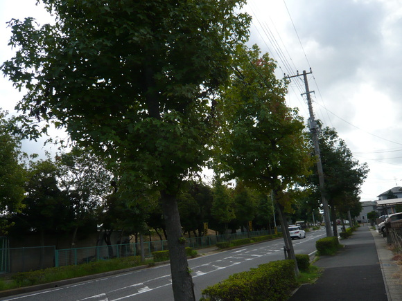 e0167966_9284978.jpg