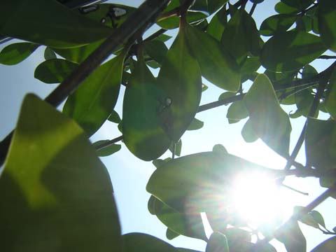 b0180968_13124181.jpg