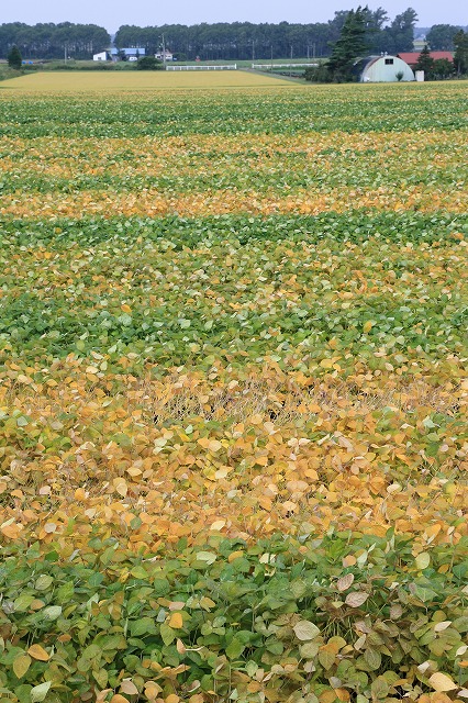 d0255874_17274447.jpg
