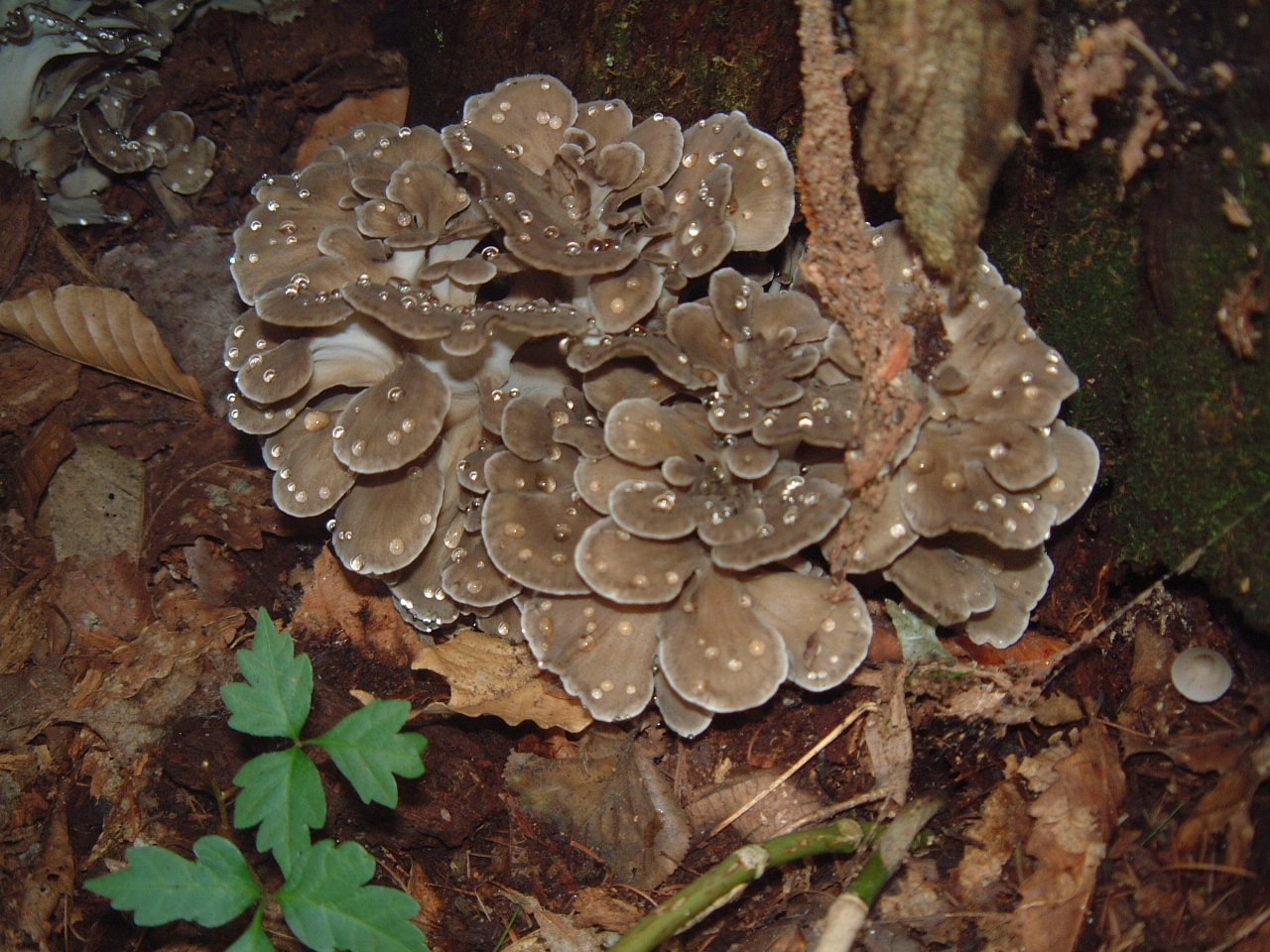 c0237780_12334024.jpg
