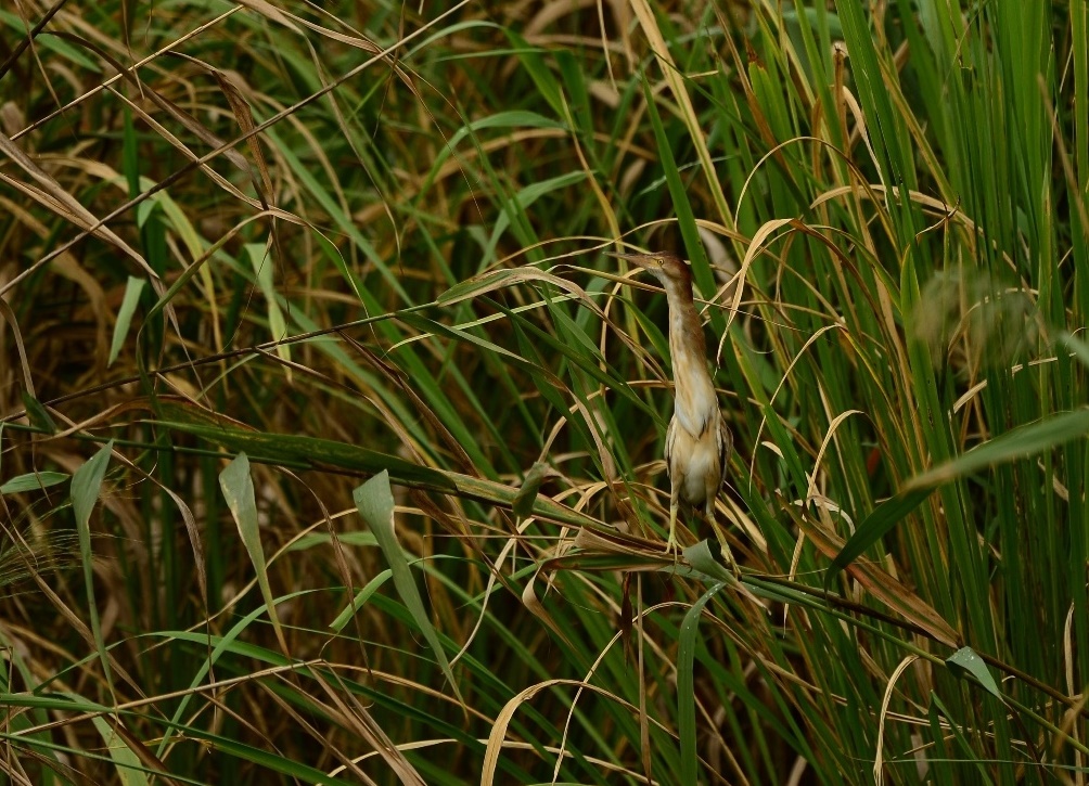 d0157380_16232637.jpg