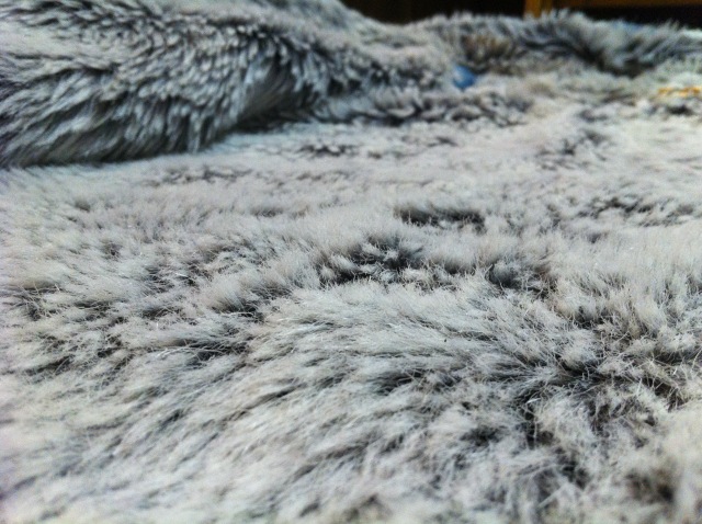 c0078587_21512269.jpg