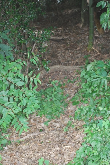 e0025300_13205683.jpg