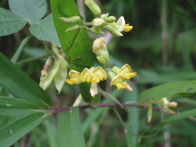 e0025300_13331588.jpg