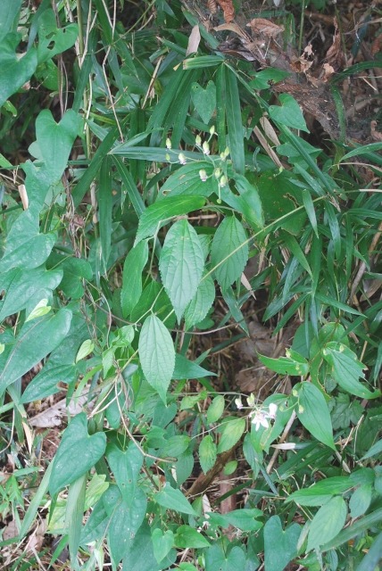 e0025300_13414722.jpg