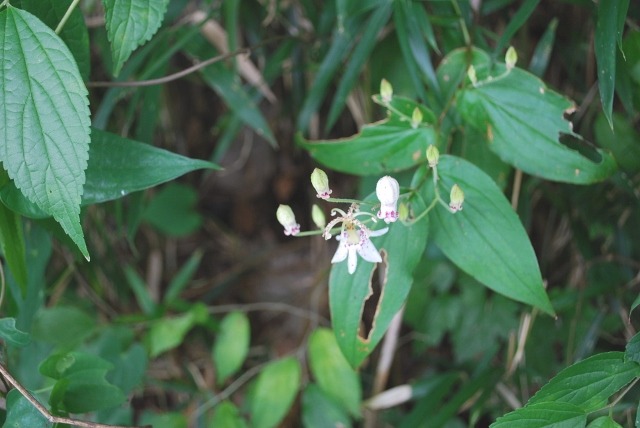 e0025300_134236.jpg