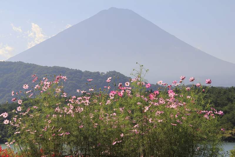 a0188405_12335480.jpg