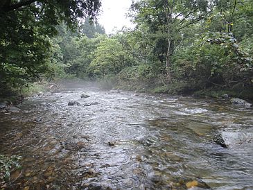 b0172805_22354722.jpg