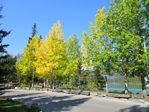 b0051109_8562899.jpg