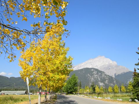 b0051109_8584077.jpg