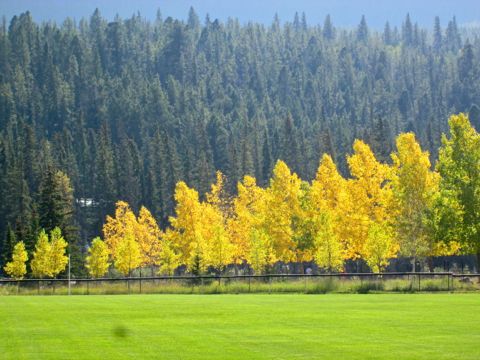 b0051109_91131.jpg