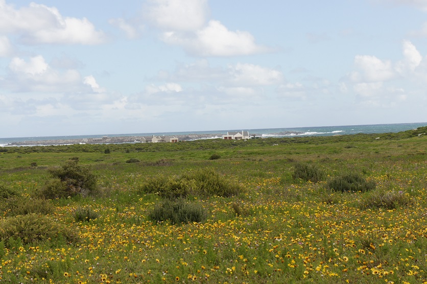 b0112909_19441748.jpg
