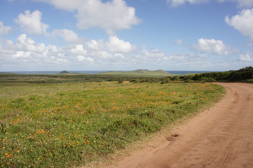 b0112909_19445650.jpg