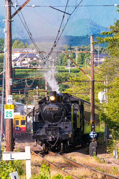 f0229311_11573351.jpg