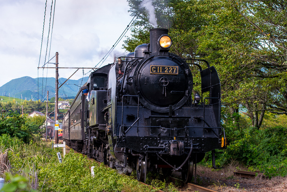 f0229311_1158513.jpg