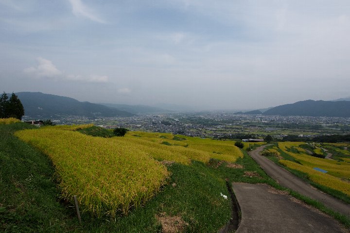 a0268412_0322853.jpg