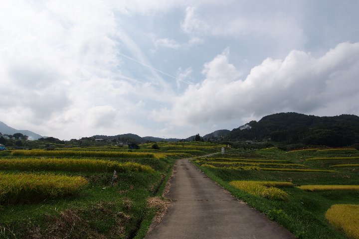 a0268412_0323657.jpg