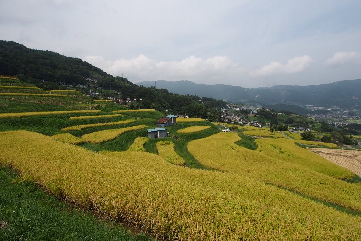 a0268412_0323813.jpg