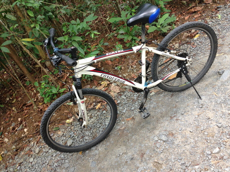 f0201320_231789.jpg